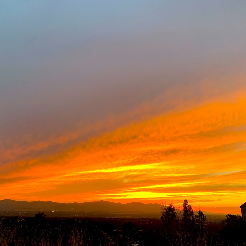 Meet your Posher, Gabriela